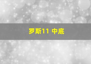 罗斯11 中底